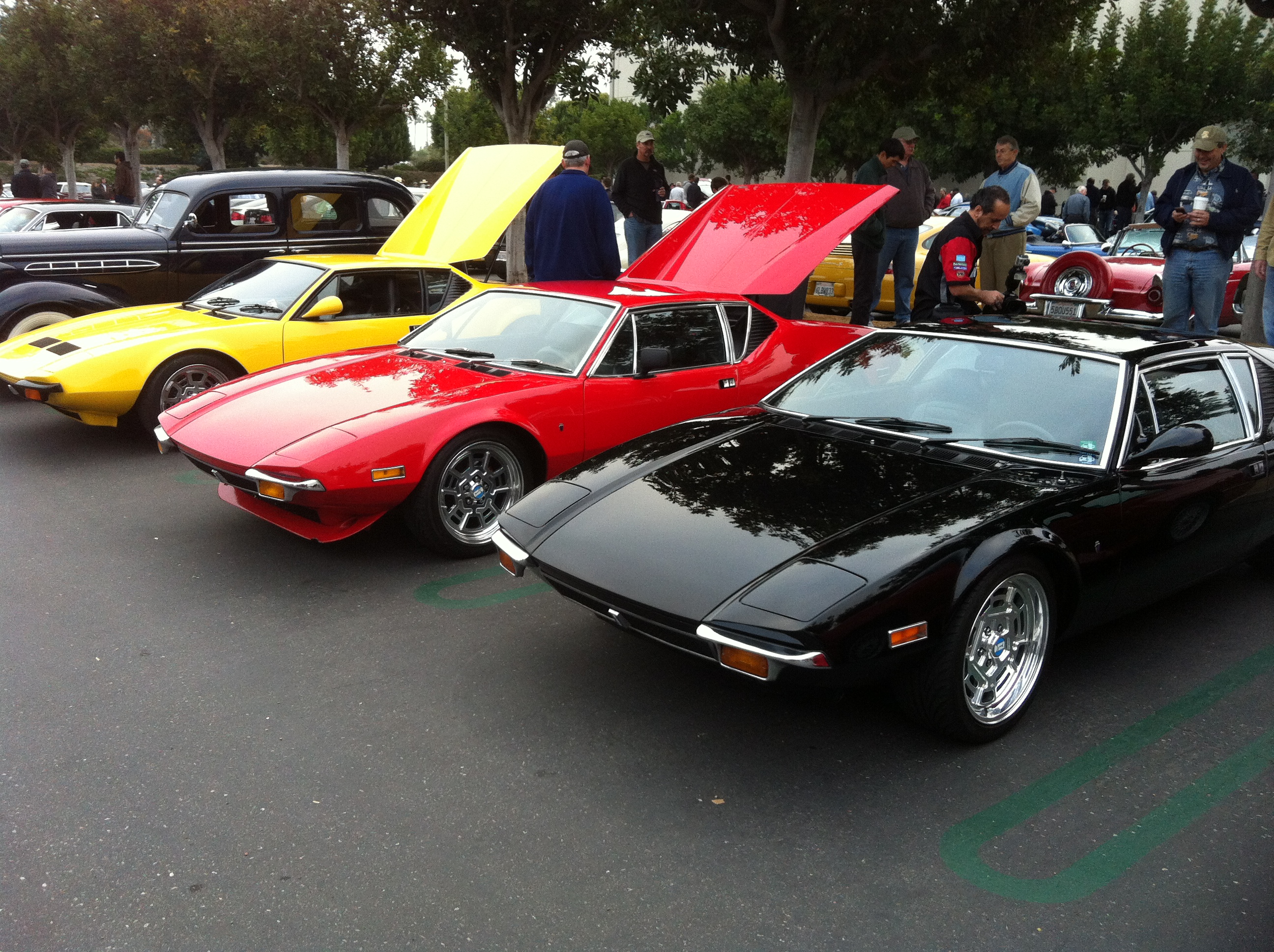 Gaggle of DeTomaso Pantera's