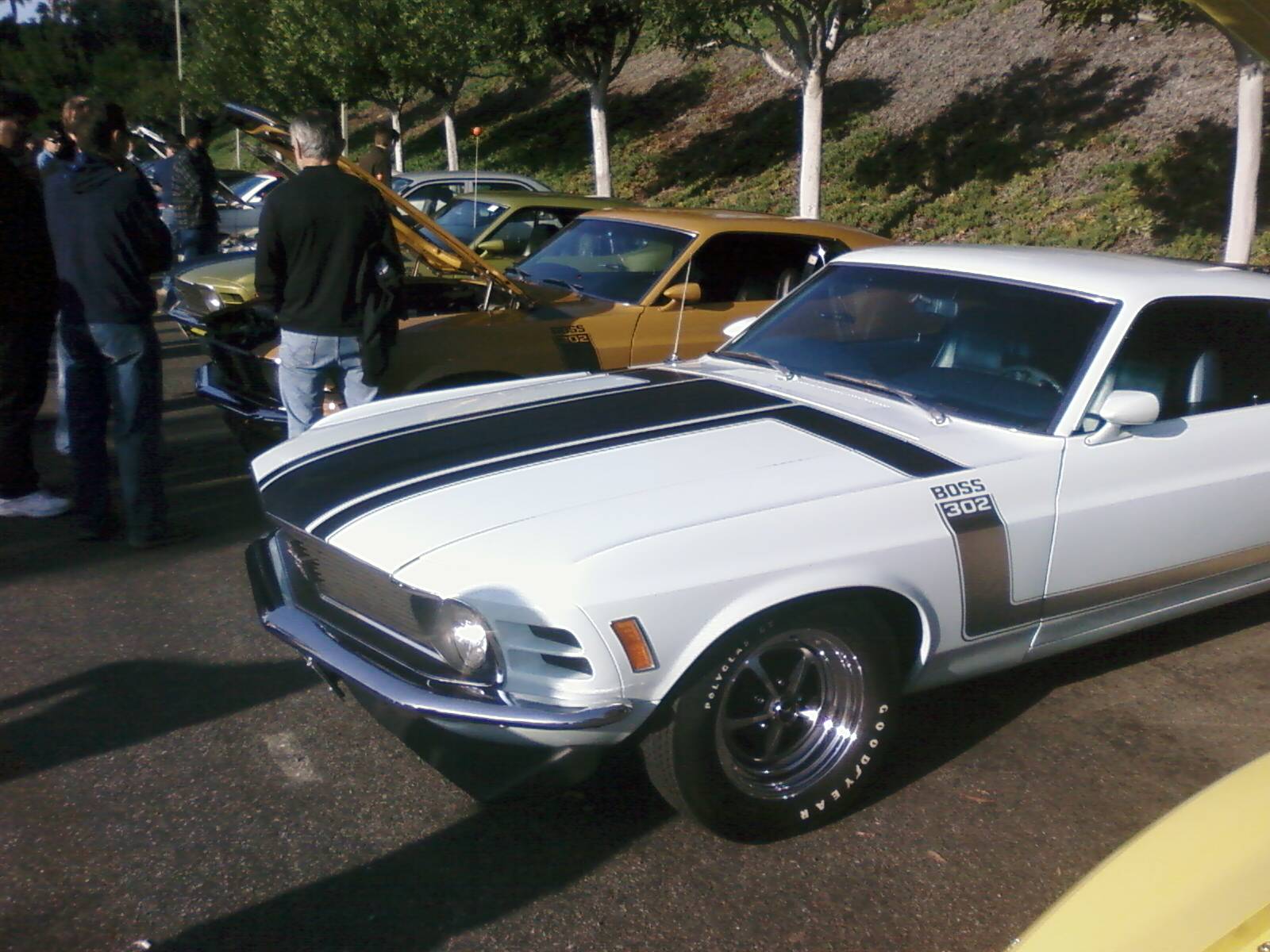 Mustangs Cars and Coffee